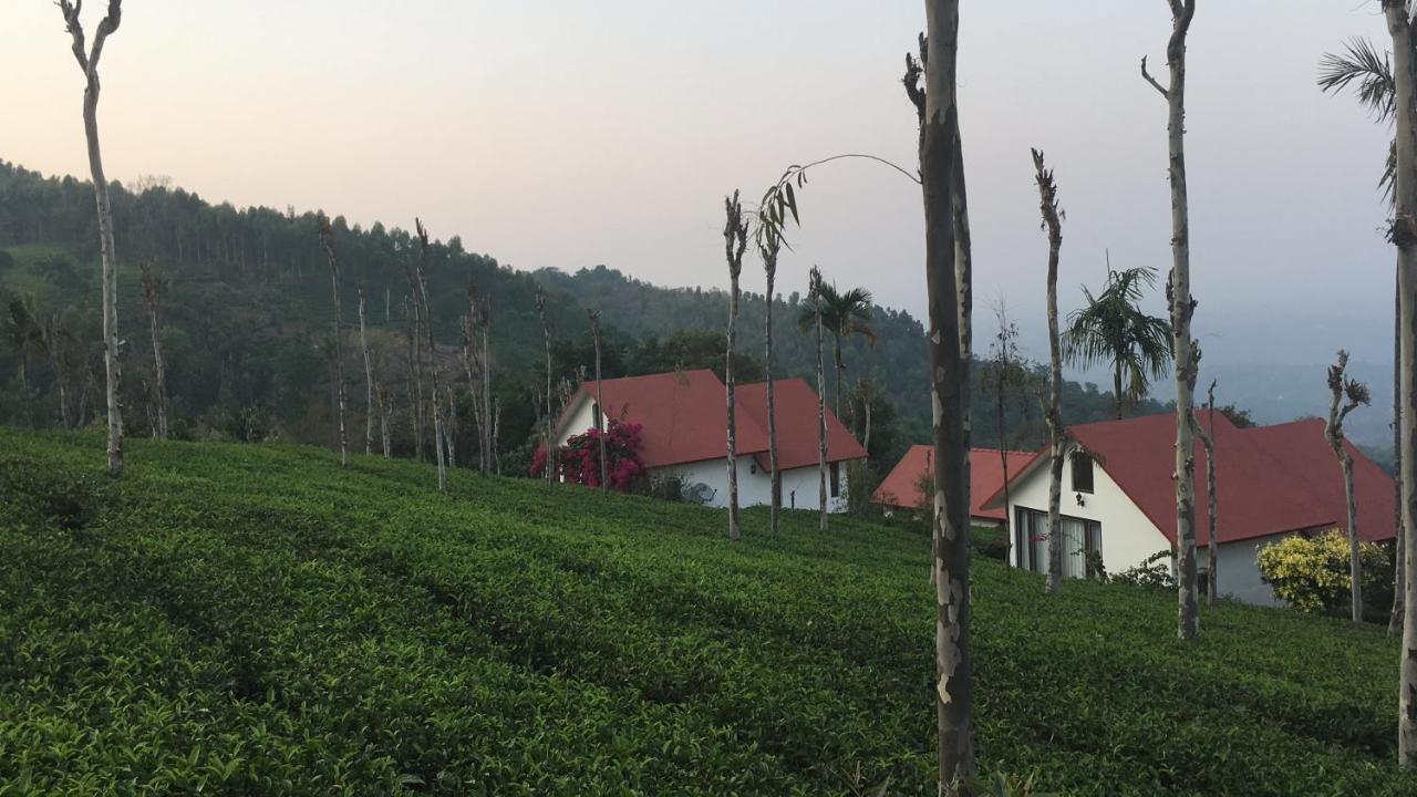 מלון וואיאנאד Tea Terrace Vythiri מראה חיצוני תמונה